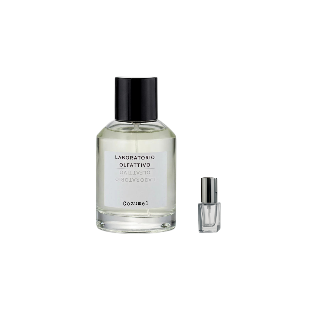Gris 2ml