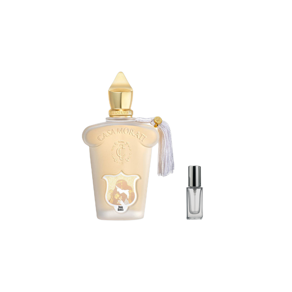 Gris 5ml